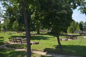 Fra Beograd: Naturreservater Zasavica & Obed Swamp