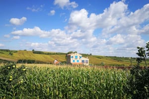 De Belgrado: Novi Sad e Fruska gora e vinícola e mosteiro