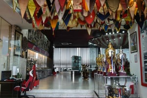 Билет на экскурсию по стадиону футбольного клуба «Црвена Звезда»