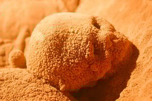 Belize City Actun Tunichil Muknal Cave (ATM )Full Day Tour