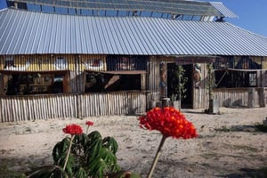 Belize City: Cave Tubing & Zipline with Belizean Lunch