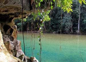 Bladen Natural Reserve