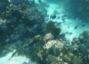 Buy Belize Real Estate