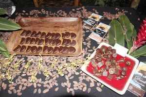 Cotton Tree Chocolate