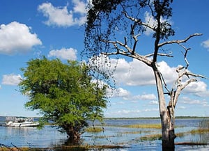 Crooked Tree Wildlife Sanctuary