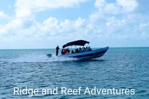 San Pedro: Snorkeling Trip with 4 Stops, Sharks, and Lunch