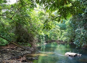 Golden Stream Corridor Preserves