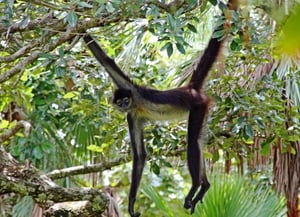 Monkey Bay National Park