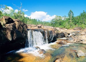 Mountain Pine Ridge Forest Reserve