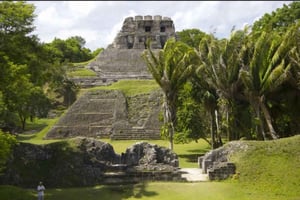 San Pedro: Lamanai Mayan Temple and River Guided Tour