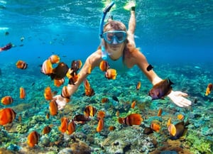 Sapodilla Caye Marine Reserve