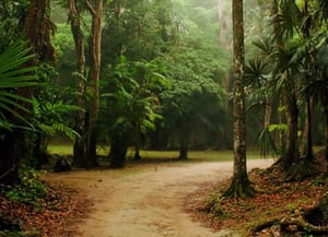 Parque Nacional Sarstoon Temash