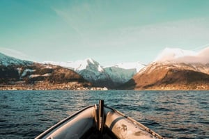 Balestrand: passeio de barco pelo fiorde escondido de Finnabotn