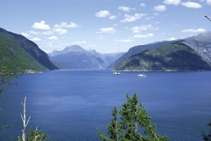 From Bergen: Private Trip to Hardangerfjord