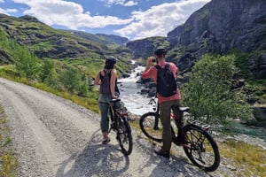 Guided, electric bicycle tour from Vatnahalsen (near Flam)