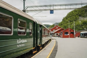Bergen: Viking Village, Nærøyfjorden Cruise and Flåm Railway