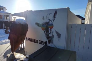 Private hiking tour Bergen mountains like a local