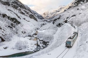 The Flåm Railway & the Nærøyfjord Tour