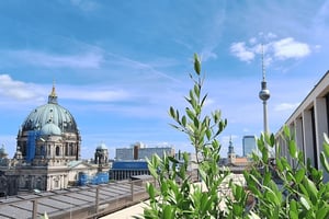 Berlin: City Highlights Express & Panorama Roof Terrace