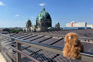 Berlin: Sachsenhausen Memorial halvdag