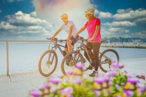 Sykkeltur i Berlins toppattraksjoner med privat guide