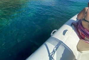 Excursion Bateau Biarritz, Pays basque