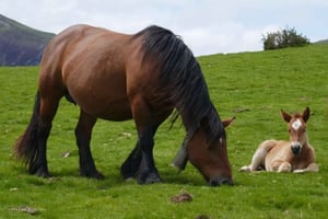 Экскурсия с гидом по 5 самым красивым городам Страны Басков.
