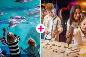 Birmingham : Cadbury World et SEA LIFE Birmingham