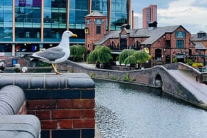 Visite historique de Birmingham