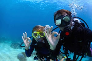 Bodrum: Full-Day Scuba Diving Tour