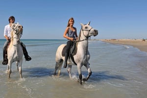 Bodrum: Horseback Riding Experience with Hotel Transfer