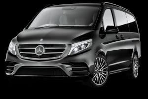 Bodrum: Traslado privado de ida desde el aeropuerto de Bodrum (BJV)