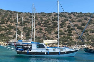 Bodrum: Private Boat Tour With Snorkeling And Lunch