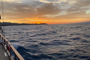 Z Bodrum: Prywatna wycieczka łodzią o zachodzie słońca z kolacją i pływaniem