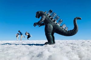 3-dniowa wycieczka po Boliwii Uyuni Salt Flats Inc Posiłki + hotel