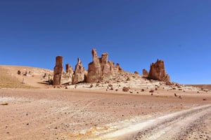 Andes Saltflats hele dagen med frokost og lunsj