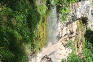 Day Tour / Amboro National Park (north side)