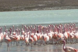 Da San Pedro de Atacama: tour di 3 giorni delle saline di Uyuni