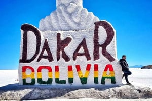 Von Uyuni aus: 1 Tag Uyuni Salzwüste und Incahuasi Insel