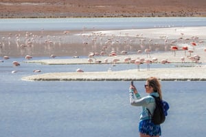 From Uyuni: Red Lagoon & Uyuni Salt Flats 3-Day Guided Tour