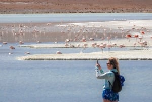 Vanuit Uyuni: Rode Lagune & Zoutvlakten van Uyuni 3-daagse rondleiding met gids