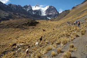 La Paz: 2 päivän vaellusretki Andeille Pico Austrialle ja telttailu