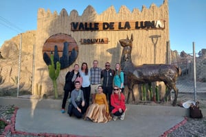 La Paz: Moon Valley, Coca Museum & Cable Car Private Tour