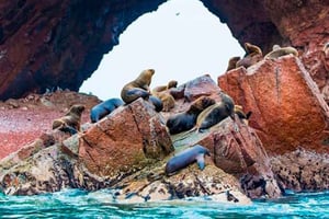 Peru og Bolivia 16 dage og 15 nætter