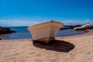 Puno: Lake Titicaca with Uros & Taquile Speedboat Tour