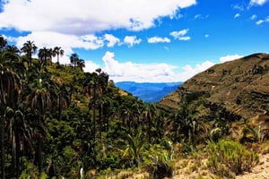 Sucre: 2 giorni nel Parco Nazionale El Palmar e nei villaggi di Yampara