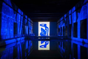 Bordeaux: Bassins des Lumières Matisse-billet