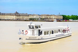 Bordeaux: Riviercruise met gids