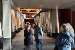 Bordeaux: Medoc tour in a small group (Luxury Mercedes EQV)