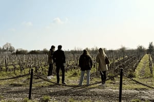 Bordeaux: dagvullende tour door de Médoc-wijnstreek